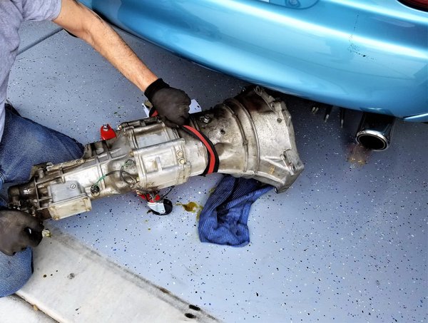 Décryptage : les différentes options de transmission successorale